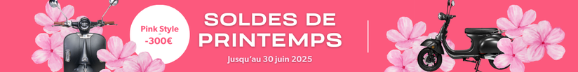Pink Style scooter 50 Promotion scooter électrique